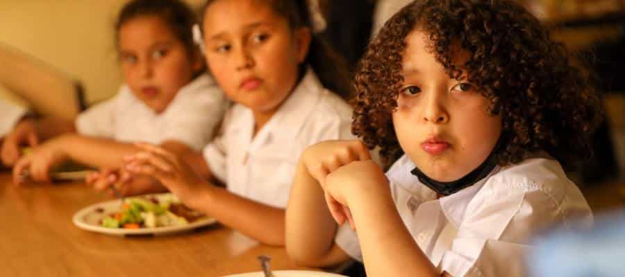 The real nutrition, beyond a healthy nutrition