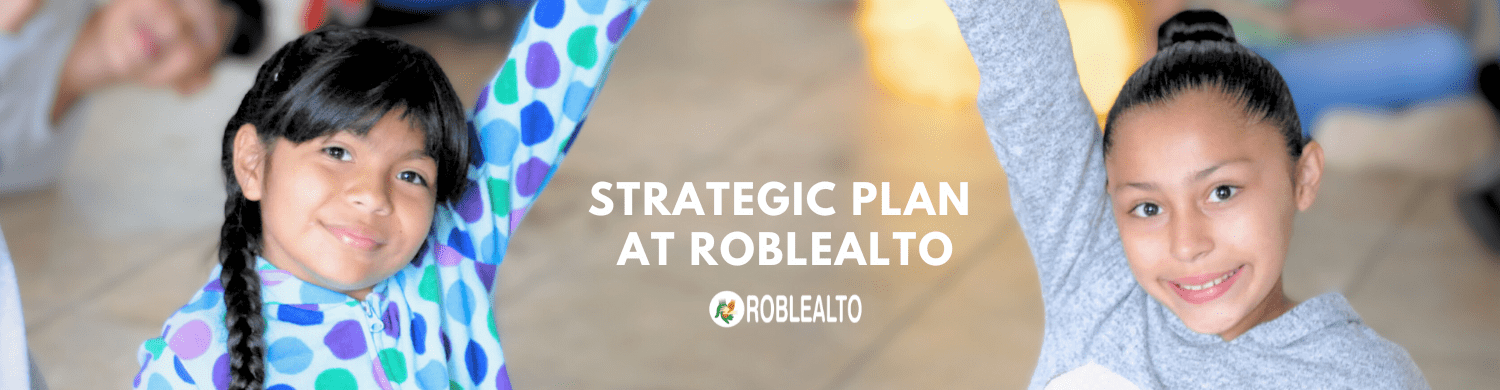 Strategic Plan at Roblealto