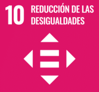 10 reduccion de las desigualdades